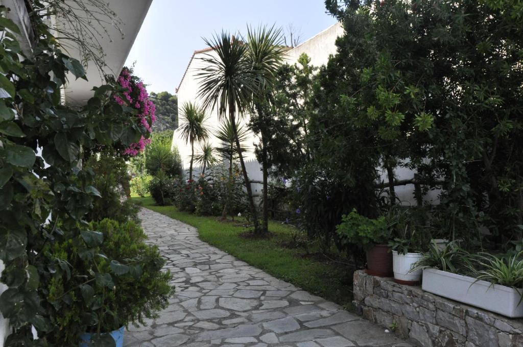 Afroditi Panormos  Kültér fotó